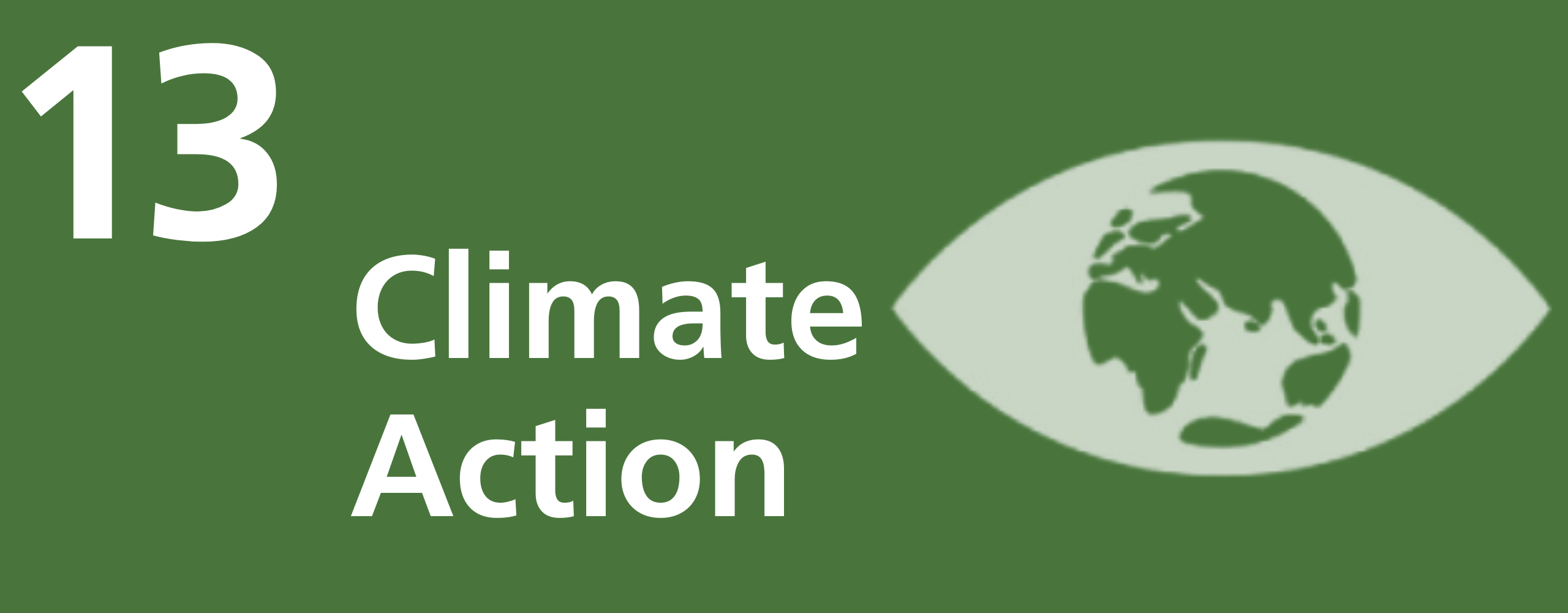#13 Action climatique